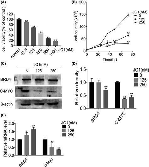 Bromodomain‐containing Protein 4 Brd4 Inhibition Of Jq1 Inhibits B16 Download Scientific