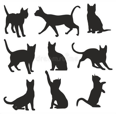 Siluetas Vectoriales De Gatos Ilustración Del Vector Ilustración De