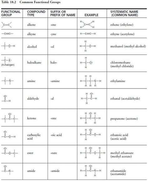 Identify Functional Groups Worksheet Printable And Enjoyable Learning