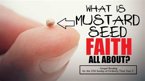 What Is The Meaning Of Mustard Seed Faith Youtube