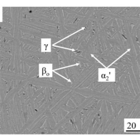 Electron Probe Micro Analyzer Epma Results Of The Samples Subjected