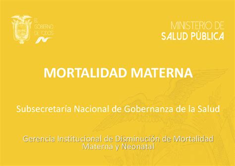 Mortalidad Materna Protocolos Médicos Claves En Obstetricia