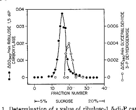 Figure 1 from Photosynthesis in Rhodospirillum rubrum | Semantic Scholar