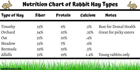 Orchard Hay Vs Timothy Hay