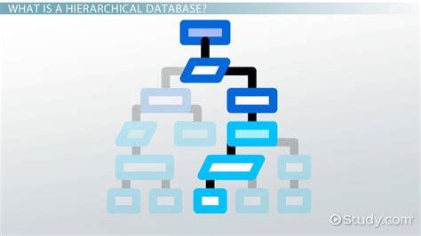 Hierarchical Database: Model & Definition - Lesson | Study.com