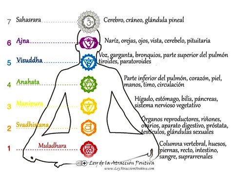 Cómo Desbloquear los Chakras Ley de la Atracción Positiva