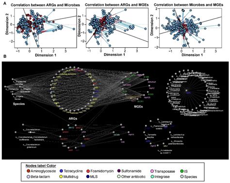 Co Occurrence Patterns Between ARGs MGEs And Bacteria Species A The