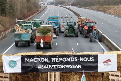 Farmer protests spread in Europe ahead of EU summit | Reuters