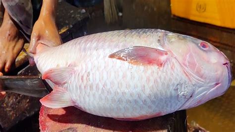 Incredible Giant Rohu Fish Cutting Skinning Skills In Bangladesh Fish