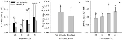 Lipid Peroxidation Tbars Determined From Corn Seedlings Submitted To