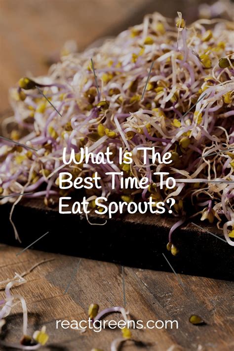 What Is The Best Time To Eat Sprouts Best Time To Eat Sprout