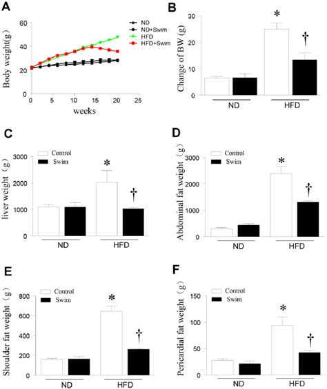 Exercise Reduced Liver Weight And Fat Content In Hfd Fed Mice A Body