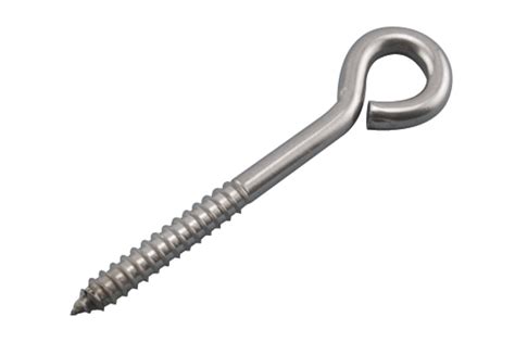 Stainless Steel Lag Eye Screw In X In