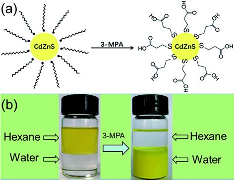 Colloidal Cd X Zn X S Nanocrystals As Efficient Photocatalysts For H