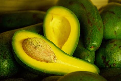 Aguacate Palta Fruta Foto Gratis En Pixabay Pixabay