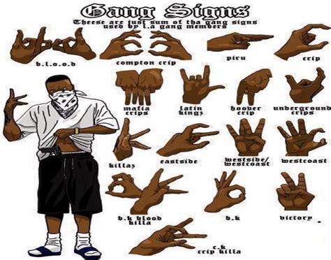 Why Were Gangs Created