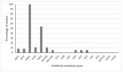 Antibiotics Free Full Text Phylogenetic Diversity Antimicrobial