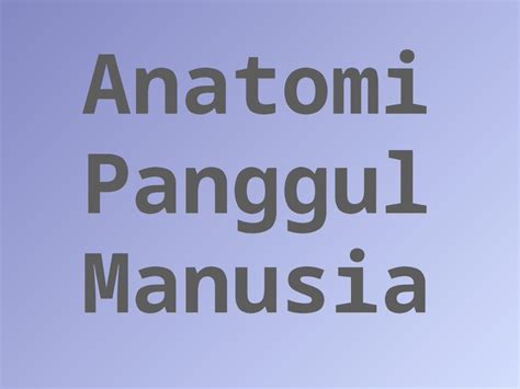 Pptx Anatomi Panggul Manusia Dokumen Tips