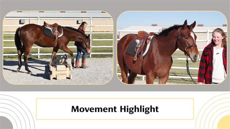 FOR SALE MU Absolute Detail 2021 Appendix AQHA Gelding Movement