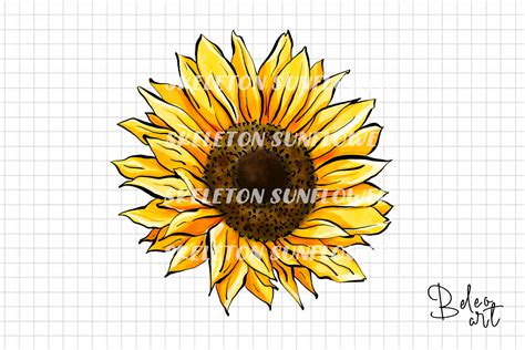 Sunflower Sublimation Png Graphic By Beleo Art · Creative Fabrica