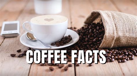 Fun Facts About Coffee You Didnt Know Youtube