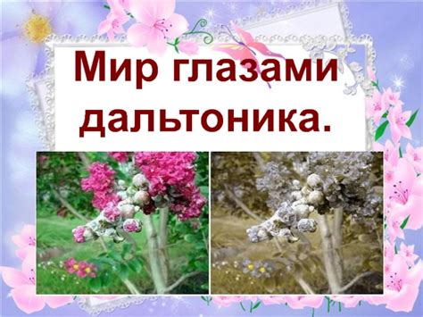 Мир глазами дальтоника 8 класс презентация, доклад