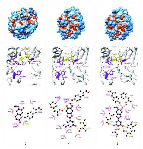 Molecular Docking Simulation Of Compounds And Into The