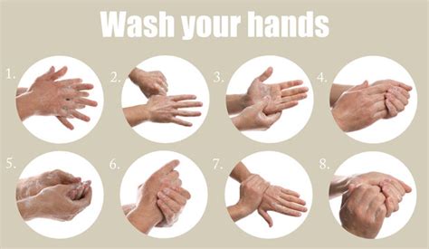 4,047 BEST Hand Washing Steps IMAGES, STOCK PHOTOS & VECTORS | Adobe Stock