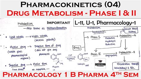 Pharmacokinetics Drug Metabolism Phase I Ii L Unit