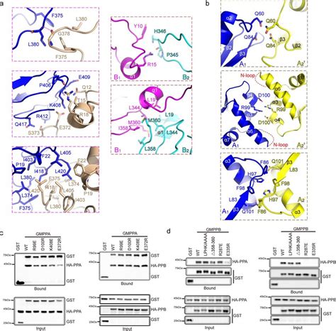 Detail Interactions Of Type I And Type Iii Interfaces A Detail