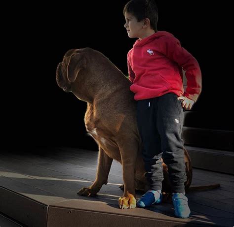 Sorprendido Con El Perro Gigante De Lionel Messi Hulk