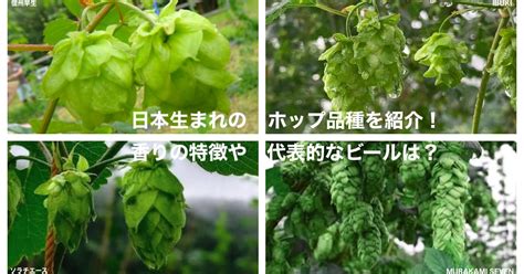 日本生まれのホップ品種を紹介！香りの特徴や代表的なビールは？ 日本産ホップ推進委員会