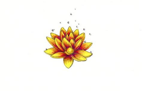 Lotus Flower Pencil Drawing | Free download on ClipArtMag