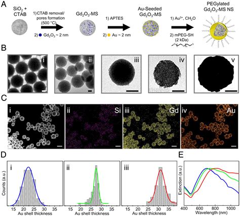 Gd O Mesoporous Silica Gold Nanoshells A Potential Dual T T