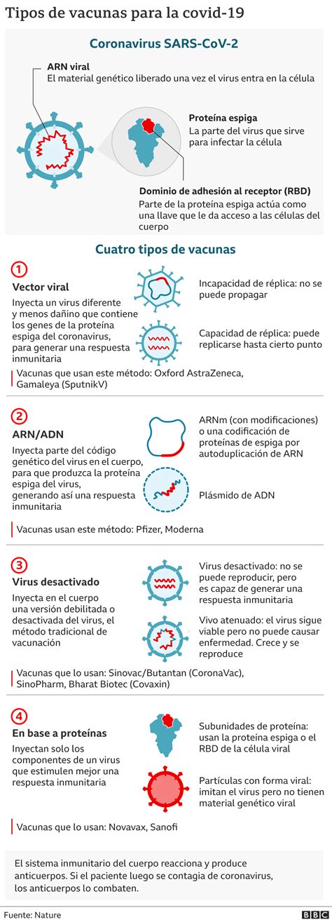 Cómo funcionan 4 tipos de vacunas para combatir el coronavirus El