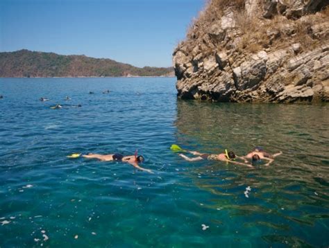 snorkeling at Tortuga | Tortuga island, Catamaran, Boat tours