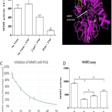 Pi Reduces Mmp Activity A Concentrated Conditioned Media From