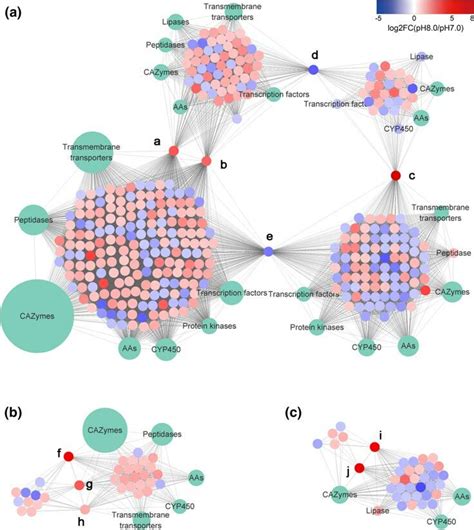 Gene Co Expression Network Of Differentially Expressed Genes Degs