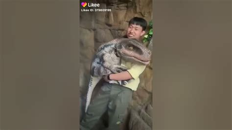 Динозавр 🦕🦖🌴 - YouTube