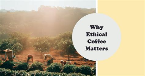 Why Ethical Coffee Matters In 2023 Coffee Finders