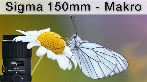 Makroobjektiv für Naturfotografie Sigma 150mm f 2 8 an der Canon