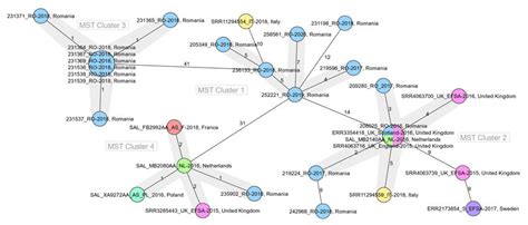 Minimum Spanning Tree Based On Core Genome Multilocus Sequence Type