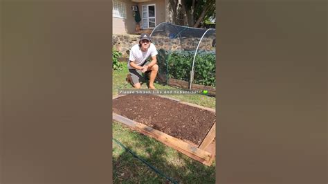 How To Build A No Dig Bed😁🌱 Gardening Outdoors Plantsofyoutube