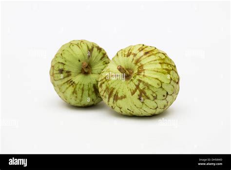 Cherimoya Two Custard Apples On A White Background Stock Photo Alamy