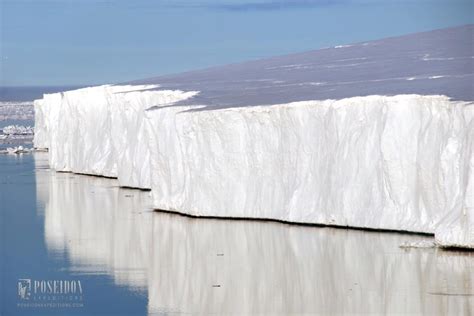 Polar bear adventure - Spitsbergen - Arctic Direct