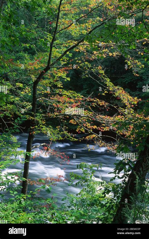 Nantahala River Mountain Waters Scenic Byway Nantahala National