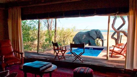 Inside The Luxury Safari Camp Where Guests Can Watch Elephants From Rooms With Pools Mirror Online