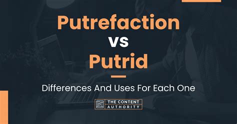 Putrefaction Vs Putrid Differences And Uses For Each One