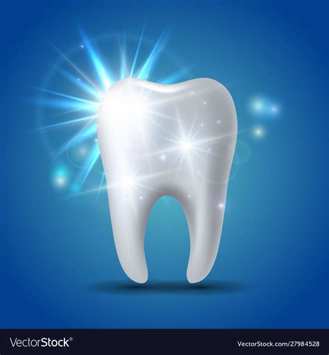 White Shining Tooth Concept Whitening Human Vector Image