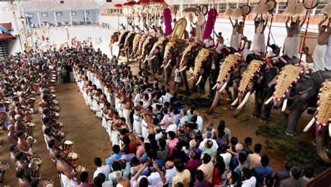 3 Elephants Run Amok During Procession At Sri Krishna Temple In Kerala